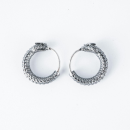 Picture for category Earrings